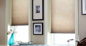 Pleated blinds